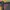 Hoodie Second GUESS