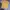 The North Face Sportswear Casual Jersey Pria yellow photo 1