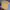 The North Face Sportswear Casual Jersey Pria yellow photo 4