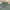 Fred Perry Camo Neck Green AmryLong Sleeve Button Shirt photo 5