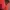 The North Face Gorpcore Windbreaker Pria red photo 5