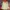 The North Face Gorpcore Windbreaker Pria red photo 6