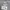 Nike Y2K Casual Track jacket Pria gray photo 6