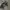 Acover Blank paded Hoodie photo 3