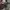 Acover Blank paded Hoodie photo 5