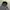 Acover Blank paded Hoodie photo 2