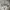 Acover Blank paded Hoodie photo 4