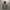Acover Blank paded Hoodie photo 1