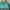 Butter Goods Streetwear Windbreaker Pria Multicolor