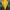 Butter Goods Streetwear Windbreaker Pria multicolor photo 3