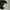 Blank Paded hoodie black photo 4