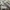 Zegna Vintage T-shirt Pria tan gray cream blue photo 3