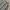 Zegna Vintage T-shirt Pria tan gray cream blue photo 2