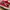 Vans Authentic Red