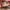 Vans Authentic Red photo 6