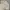 Acme De La Vie  Streetwear Casual Casual shirt Pria cream photo 3