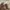 Acme De La Vie  Streetwear Casual Casual shirt Pria cream photo 6