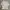 Acme De La Vie  Streetwear Casual Casual Shirt Pria Cream