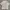 Acme De La Vie  Streetwear Casual Casual Shirt Pria Cream
