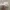 Polo Ralph Lauren Casual Hat Pria white photo 4