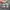 Vans Slipon Checkerboard  photo 5