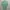 Uniqlo cardi Green Pastel Sage photo 1