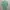 Uniqlo Cardi Green Pastel Sage