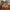 #FR2 Luxury Windbreaker Pria multicolor red orange cream yellow photo 7