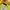 #FR2 Luxury Windbreaker Pria multicolor red orange cream yellow photo 6