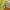 #FR2 Luxury Windbreaker Pria multicolor red orange cream yellow photo 8