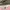 Gucci Luxury Tote bag Wanita pink photo 8
