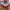 Puma Scend Pro Series photo 3