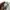 Genuine dickies embroidered white crewneck photo 6