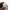 MSGM three shadow man white crewneck photo 7