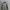 THE NORTH FACE APEX SOFT SHELL ZIP SWEATER JACKET photo 6