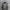THE NORTH FACE APEX SOFT SHELL ZIP SWEATER JACKET photo 1