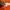 Adidas Essentials Climate Orange for Sports Poloshirts L/Sp photo 7