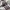 Adidas Gorpcore Indie Sneakers Pria white red photo 2