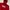 Vans Hoodie Red Cherry photo 1