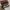 Tom Ford reading glasses photo 6