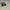 Basketball Nike LeBron XXI “Algae” photo 4
