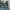 Levi's Streetwear Jeans Pria blue photo 6