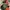 “OAKLEY SOFTWARE 2000s ICON TECHNICAL UTILITY BACPACK” photo 4