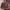 Guess photo 1