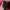 Calvin Klein Vintage Luxury Sweater Wanita red photo 4