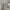 Adidas Sportswear Sweater Pria gray photo 5