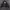 sigilism handpainting winter jacket  photo 1