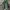 Outer Jacket Zara Military Multipocket Green photo 1