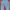 FENDI Motif Chambray Trousers