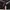 Hoody crop speelout photo 4